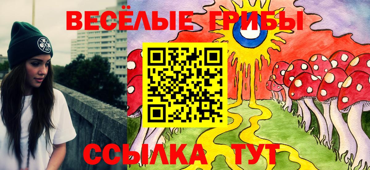 Псилоцибиновые грибы Psilocybine cubensis Камышин