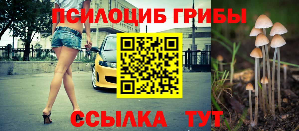 Камышин  Галлюциногенные грибы мухоморы  Вход с VPN 